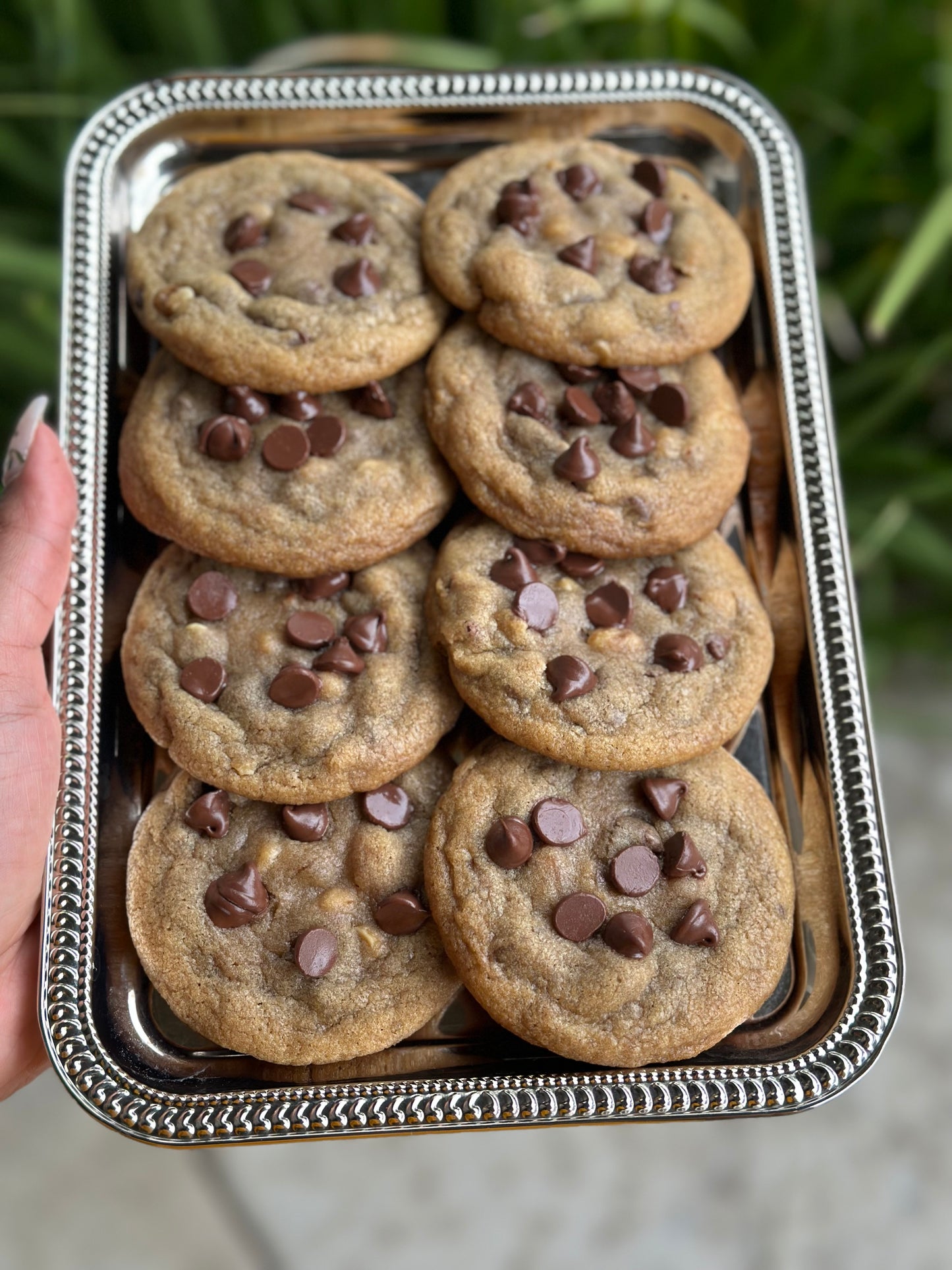 Dozen Cookies (Shipped)